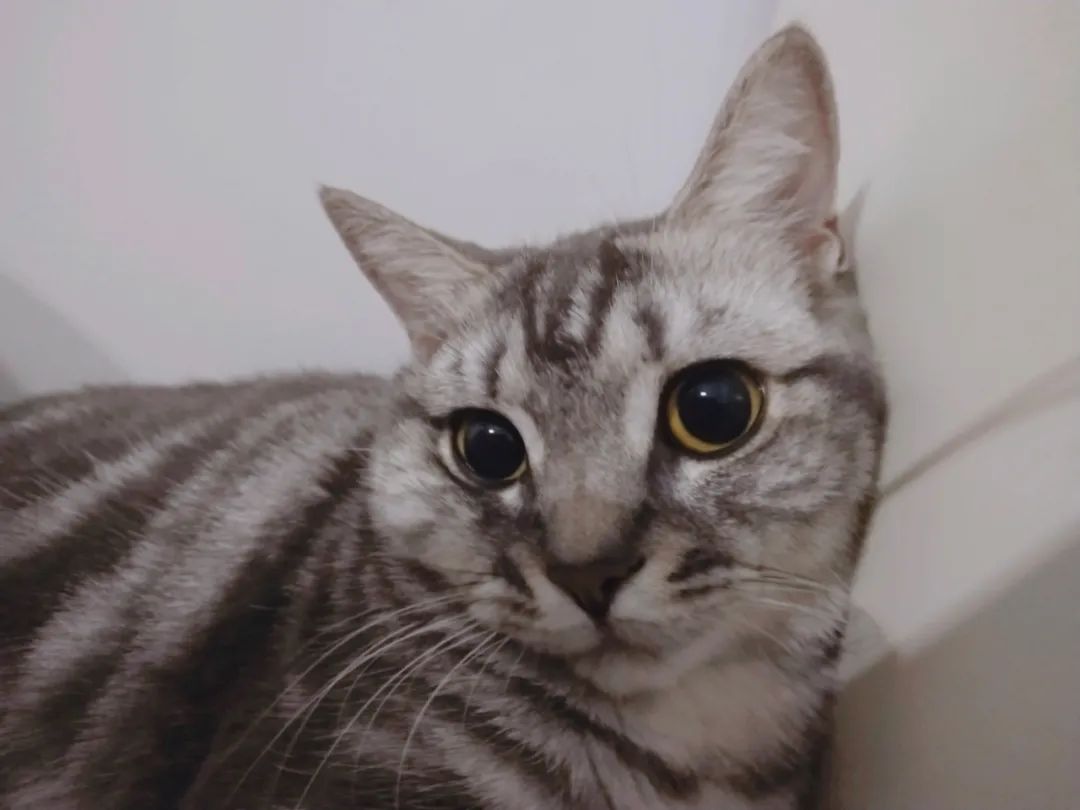 DƬ